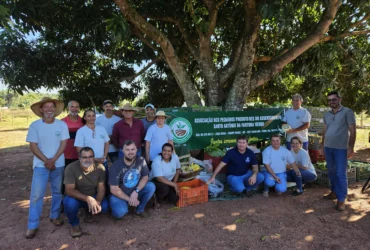 Governo fortalece agricultores com caminhões para escoar produção