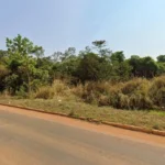 Revitalização transforma parque da Quineira em novo atrativo turístico com foco em conservação