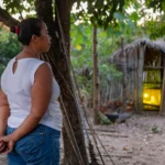 Governo de Mato Grosso lança edital para impulsionar agricultura familiar