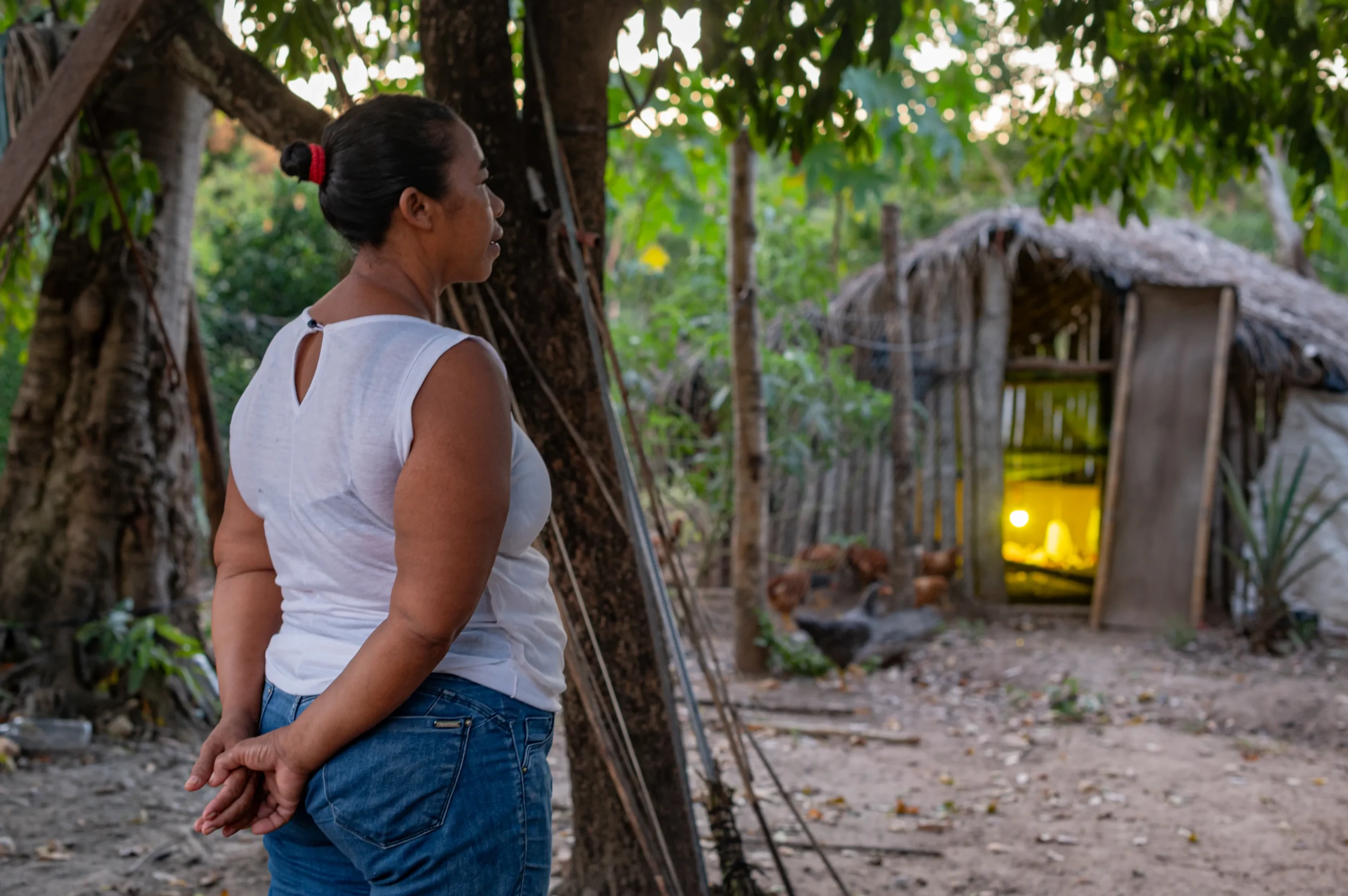 Governo de Mato Grosso lança edital para impulsionar agricultura familiar