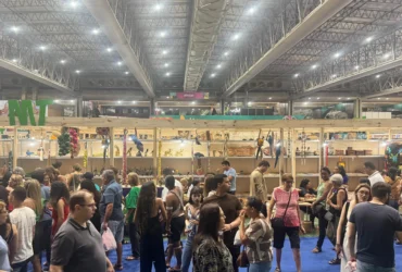 Artesanato movimenta economia e leva identidade cultural de Mato Grosso à maior feira da América Latina