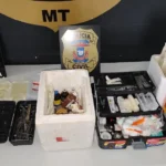 Homem é preso por castração clandestina na operação quatro patas