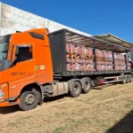 Indea envia agrotóxicos falsificados para destruição e reforça combate ao contrabando