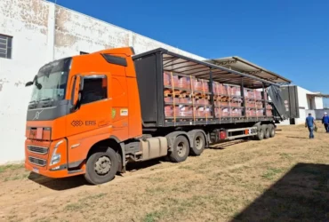 Indea envia agrotóxicos falsificados para destruição e reforça combate ao contrabando