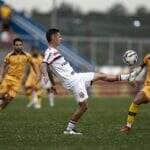 Botafogo-SP x Criciúma: Onde assistir, escalações e tudo sobre o duelo da Série B. Imagem: Laiza Balieiro/Agência Botafogo/Divulgação