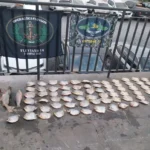 Pescado irregular é apreendido em Santo Antônio de Leverger durante operação ambiental