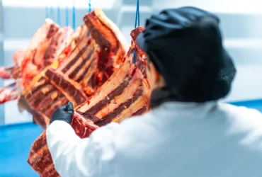Mato Grosso bate recorde e exporta mais de 370 mil toneladas de carne em 6 meses