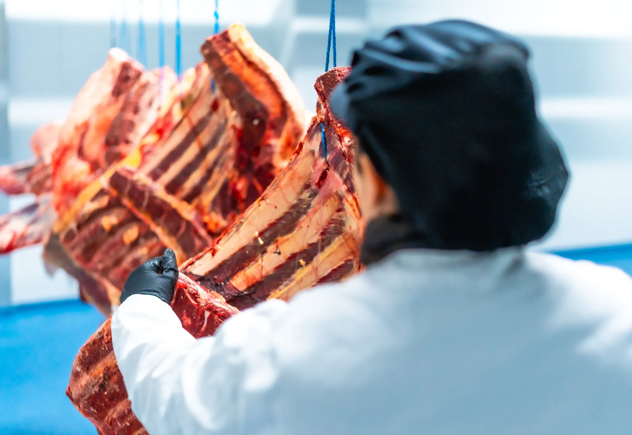 Mato Grosso bate recorde e exporta mais de 370 mil toneladas de carne em 6 meses