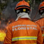 Homem embriagado provoca incêndio e é preso por PM em Mato Grosso