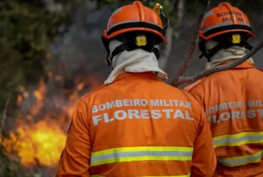 Homem embriagado provoca incêndio e é preso por PM em Mato Grosso
