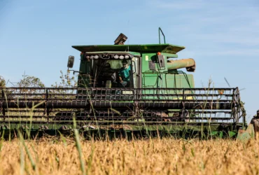 Mato Grosso amplia liderança na produção nacional de arroz de sequeiro