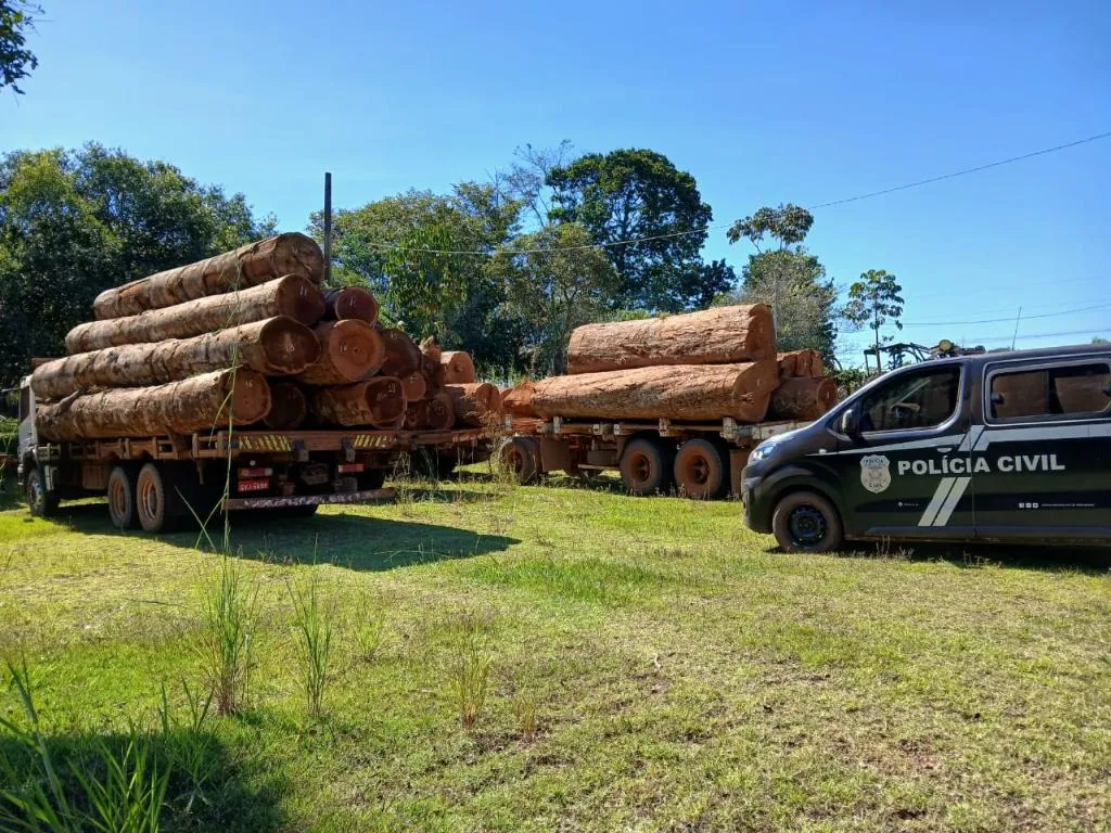 Madeireiras registram alta em acidentes e passam a ser alvo de fiscalização em Mato Grosso