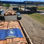 PRF apreende 51 m³ de madeira ilegal em Rondonópolis, na BR-364