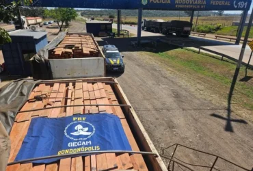 PRF apreende 51 m³ de madeira ilegal em Rondonópolis, na BR-364