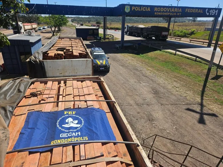 PRF apreende 51 m³ de madeira ilegal em Rondonópolis, na BR-364