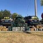 PRF apreende mais de 460 tabletes de drogas na BR-364-MT