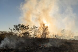 Período da seca traz de volta a ameaça das queimadas em Rondonópolis