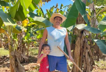 Mato Grosso se destaca no combate à paracoco com notificação obrigatória