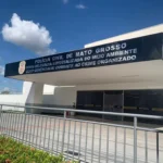 Polícia investiga maus-tratos após encontrar gatos mortos em residência