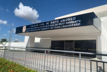 Polícia investiga maus-tratos após encontrar gatos mortos em residência