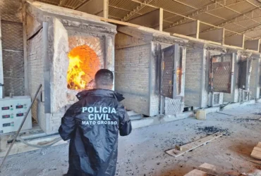 Polícia incinera 150 quilos de drogas em operação contra tráfico