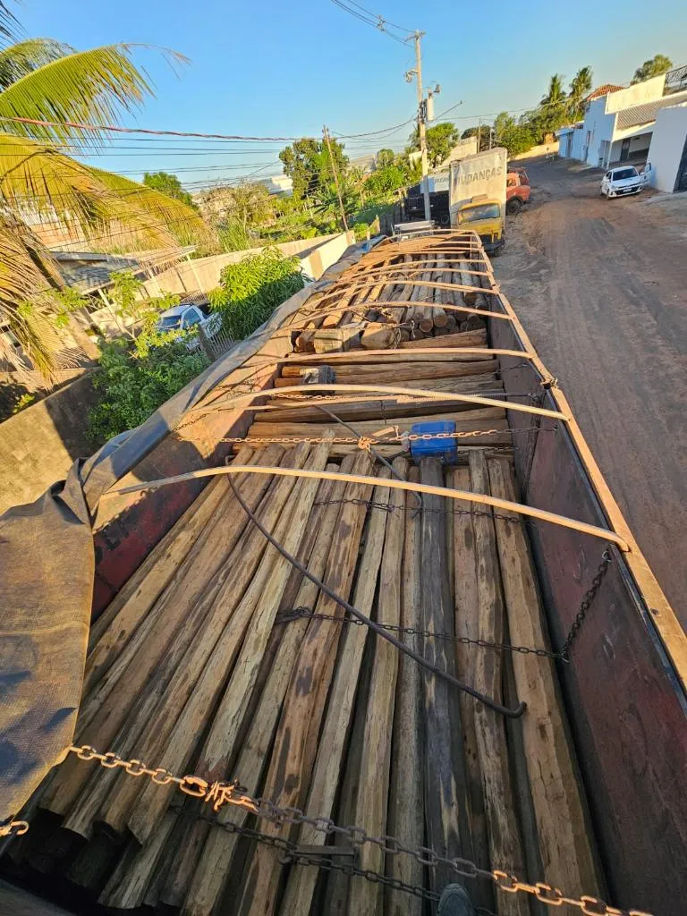 Polícia combate transporte ilegal de madeira com operações reforçadas em Mato Grosso