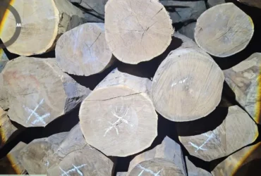 Polícia Civil intensifica combate ao crime ambiental em Comodoro