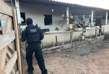 Facção é desarticulada e rinha de galo é fechada durante operação em Campos de Júlio