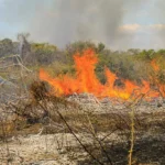 Homem embriagado provoca incêndio em fazenda e é preso pela Polícia Militar