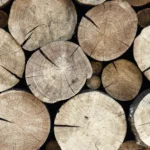 Possível taxação dos EUA ameaça exportações de madeira de Mato Grosso