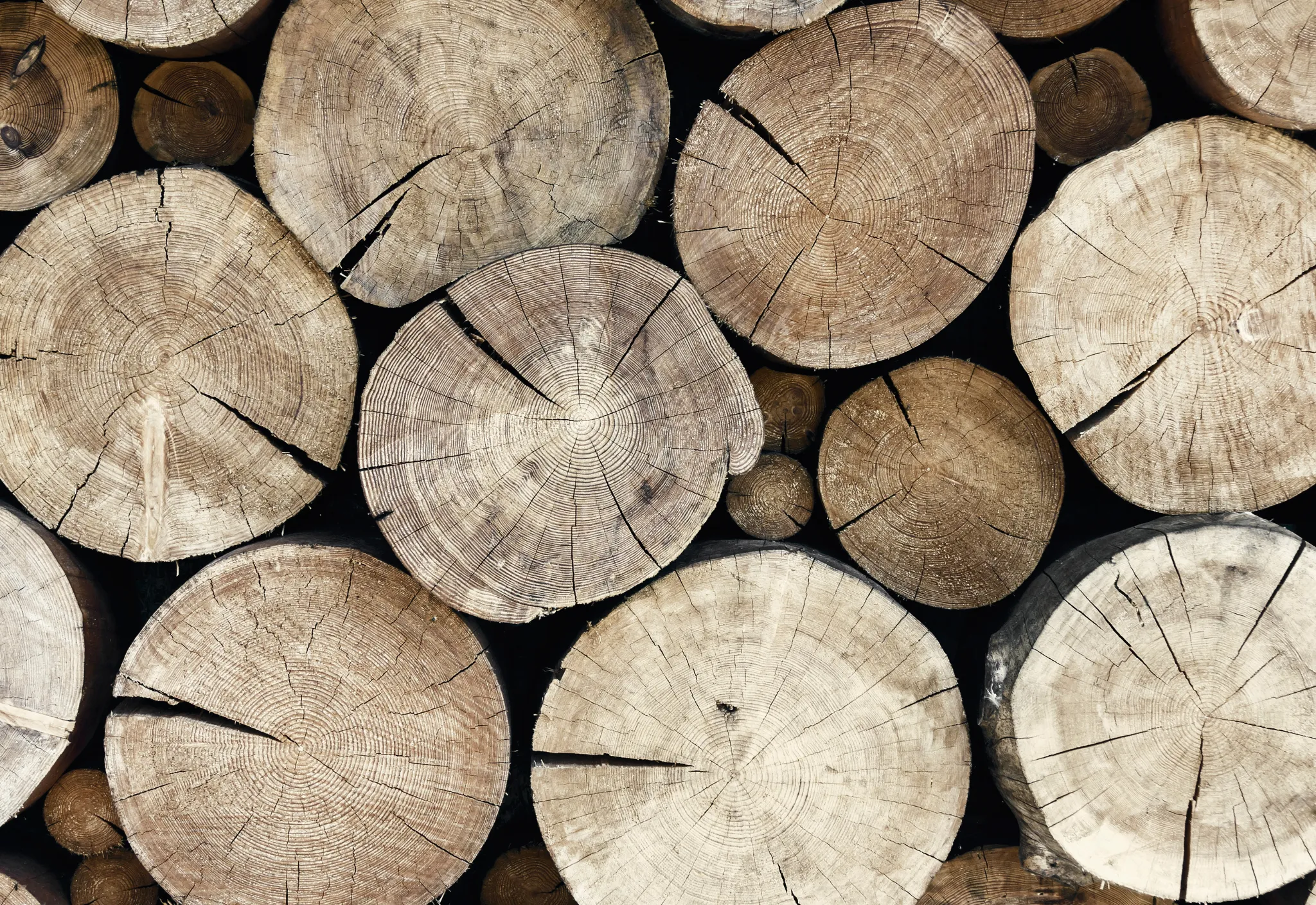 Possível taxação dos EUA ameaça exportações de madeira de Mato Grosso