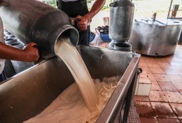 Agricultores Familiares ligados à cadeia leiteira agregam valor ao produto com selo de qualidade