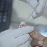 Atividade faz parte da campanha “Julho Amarelo” e reforça a importância do diagnóstico precoce e vacinação contra os tipos B e C da doença