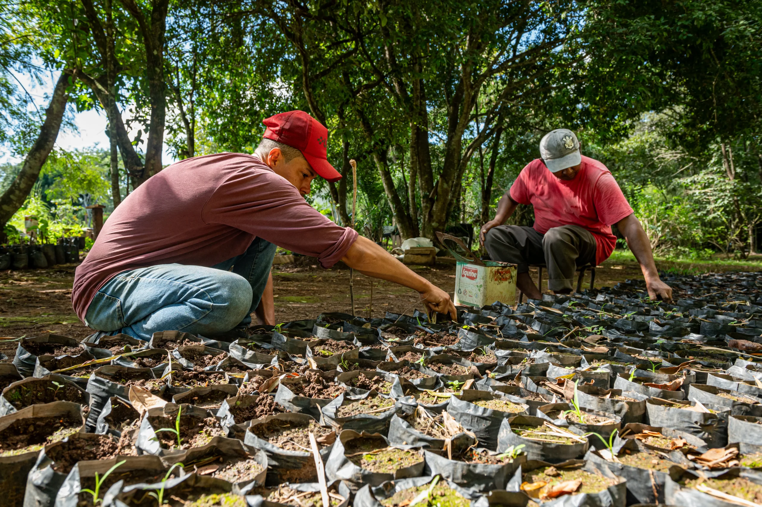 Seaf reforça pesquisa internacional sobre paracoccidioidomicose em trabalhadores rurais