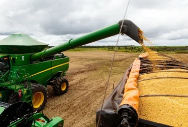 Mato Grosso fortalece protagonismo na produção global com safra recorde