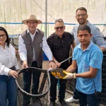 Seaf fortalece aquaponia com nova unidade em Tangará da Serra