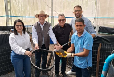 Seaf fortalece aquaponia com nova unidade em Tangará da Serra