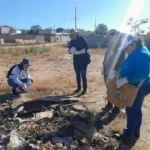 Capacitação fortalece vigilância no controle de escorpiões em Mato Grosso