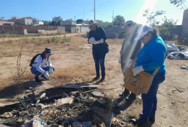 Capacitação fortalece vigilância no controle de escorpiões em Mato Grosso
