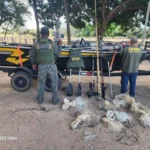 Sema reforça fiscalização contra pesca predatória com apreensão de embarcações