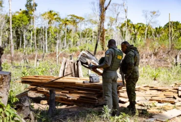 Sema intensifica fiscalização ambiental e aplica R$ 1,3 bilhão em multas