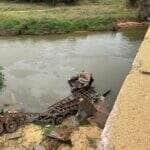 Acidente mobilizou equipes do Corpo de Bombeiros e do SAMU; buscas pelo condutor seguiram por horas nas águas do rio