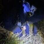 Acionada pelo Botão do Pânico da Lei Maria da Penha, Guarda Civil Municipal localizou o suspeito escondido debaixo de moita; ele já havia sido preso por descumprir medida protetiva com arma de fogo