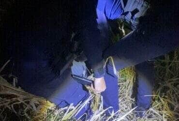 Acionada pelo Botão do Pânico da Lei Maria da Penha, Guarda Civil Municipal localizou o suspeito escondido debaixo de moita; ele já havia sido preso por descumprir medida protetiva com arma de fogo