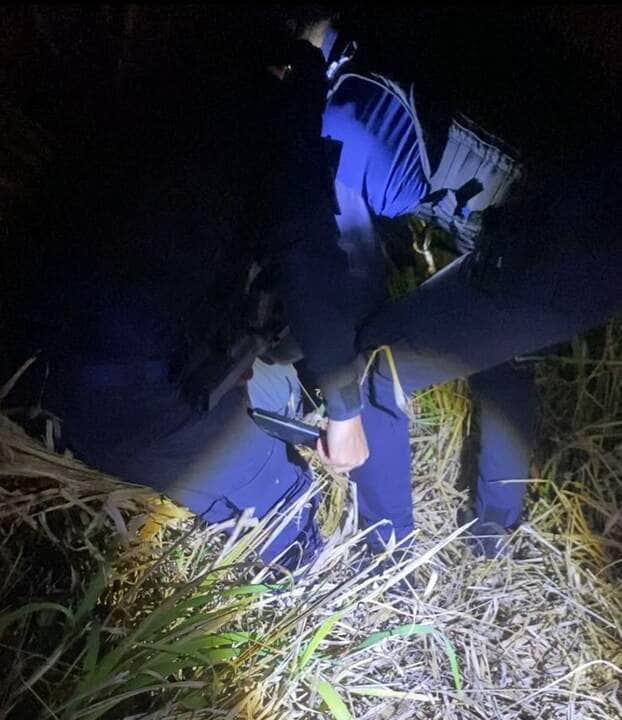 Acionada pelo Botão do Pânico da Lei Maria da Penha, Guarda Civil Municipal localizou o suspeito escondido debaixo de moita; ele já havia sido preso por descumprir medida protetiva com arma de fogo
