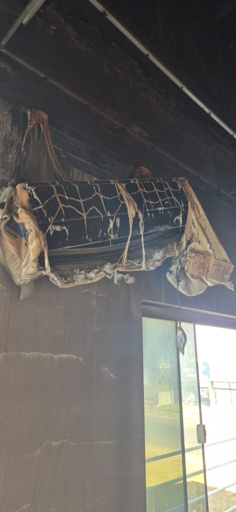 WhatsApp Image 2025-07-28 at 07.27.49