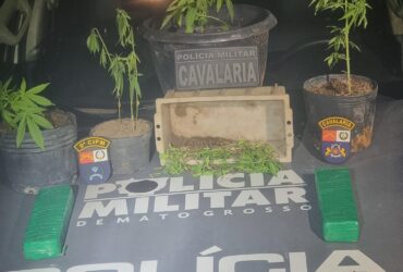 Ação da Cavalaria e apoio da PM de Diamantino resultou na apreensão de drogas, motocicleta roubada, celulares e dinheiro em espécie