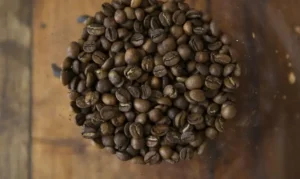 Tarifaço de Trump ameaça exportações de café, carne, suco e frutas