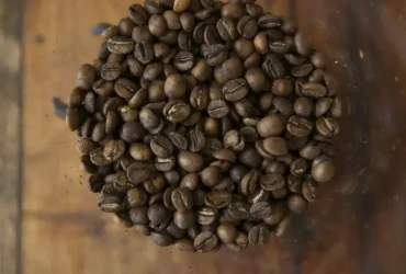 Tarifaço de Trump ameaça exportações de café, carne, suco e frutas