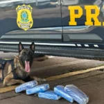 PRF intercepta mais de 21 kg de cocaína e prende motorista em operação na BR-364